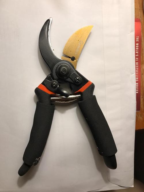 Professional Premium Titanium Bypass Pruning Shears photo review