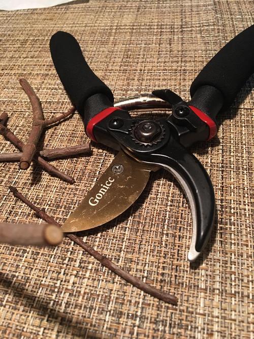 Professional Premium Titanium Bypass Pruning Shears photo review