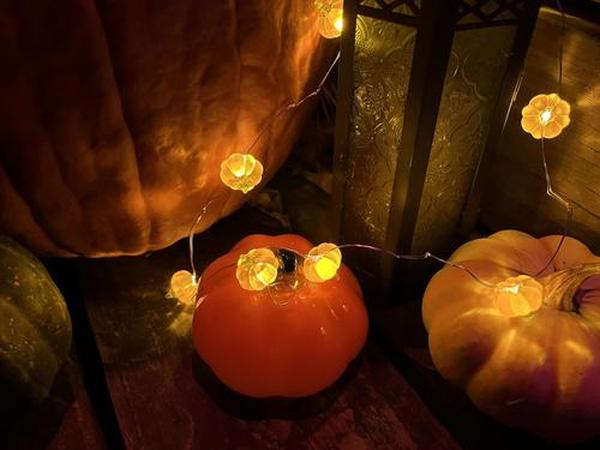 Pumpkin String Lights, LED Halloween Lights Battery Powered with Remote & Timer, Halloween Lights 3D Jack-o-Lantern photo review