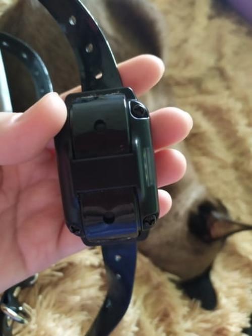 Rechargeable Dog Training Collar with Anti-Barking Device photo review