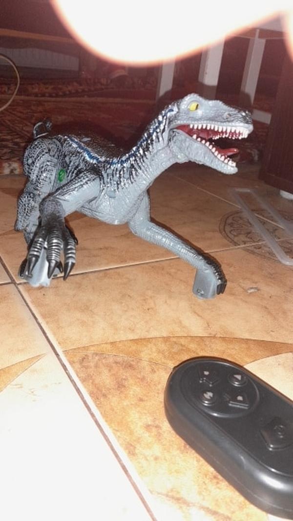 Remote Control Dinosaur photo review