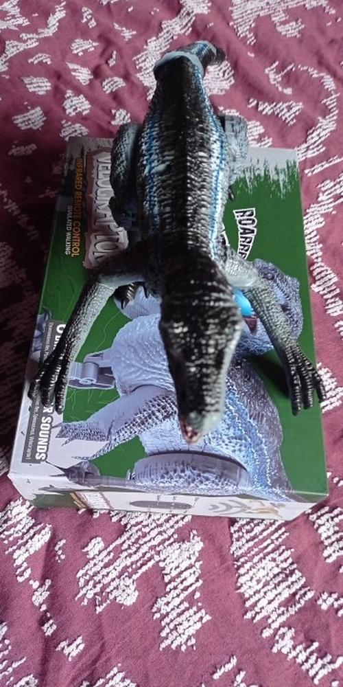 Remote Control Dinosaur photo review