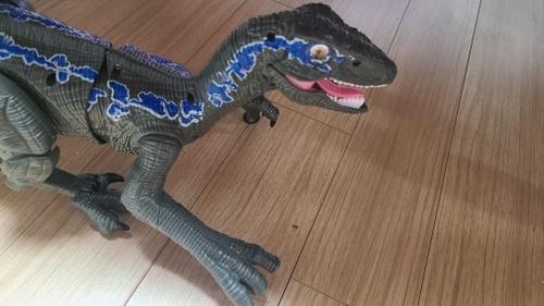 Remote Control Dinosaur photo review