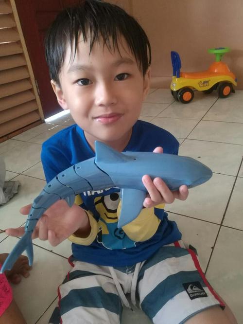 Remote Control Shark Toy 2.4G 1:18 Radio Rc Shark Toy photo review