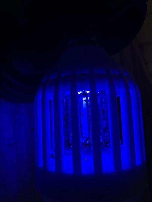 Safe and Effective LED Bug Zapper Bulb for Families photo review