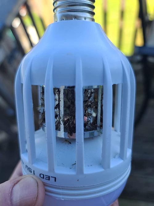 Safe and Effective LED Bug Zapper Bulb for Families photo review