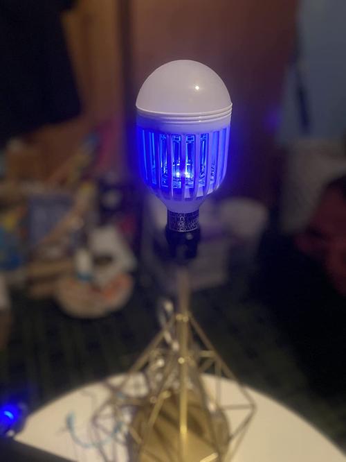 Safe and Effective LED Bug Zapper Bulb for Families photo review