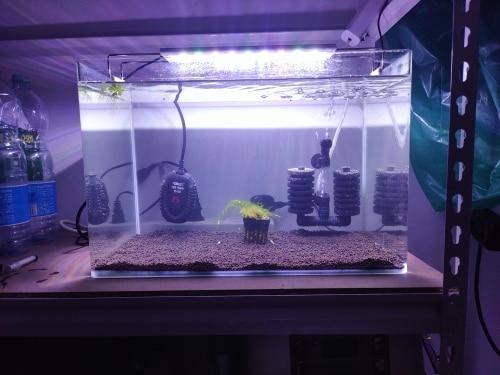 Safe & Reliable Fish Tank Heater for Freshwater & Saltwater photo review