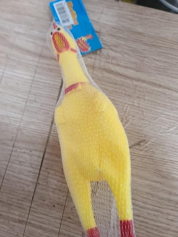 Screaming Chicken Dog Toy - Small Size, Durable & Interactive photo review