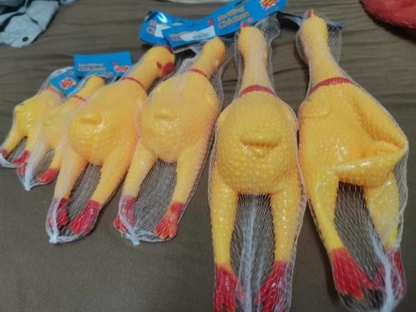 Screaming Chicken Dog Toy - Small Size, Durable & Interactive photo review