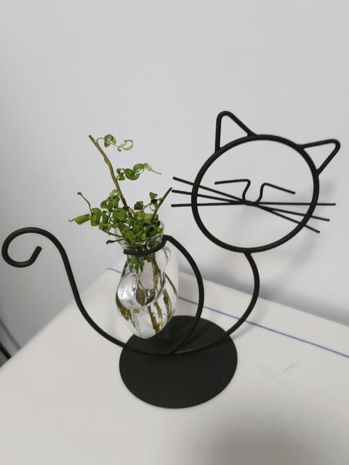 Simple Cat Iron Hydroponic Flower Vase - Innovative Home Living Room Decor photo review