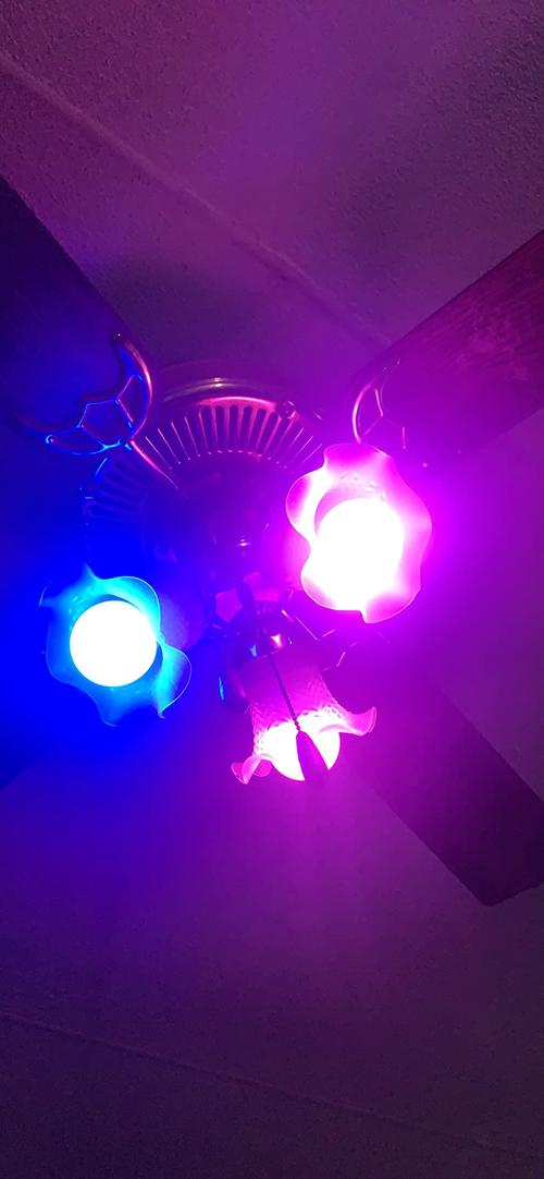 Smart RGB Color Changing LED Light Bulb photo review