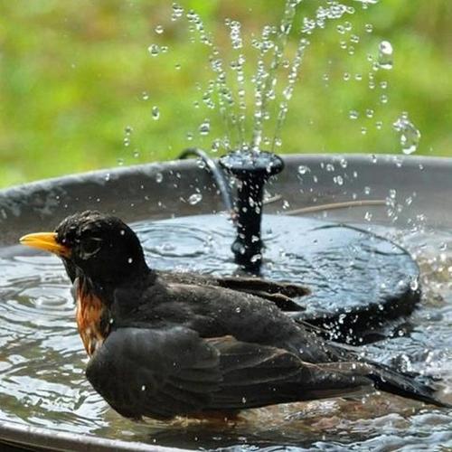 Smartgarden - Solar Powered Bird Bath Fountain Kit