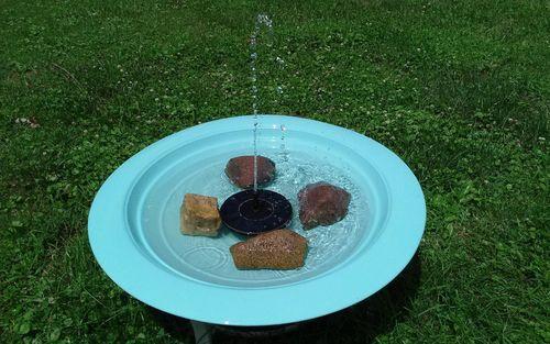 Smartgarden - Solar Powered Bird Bath Fountain Kit photo review