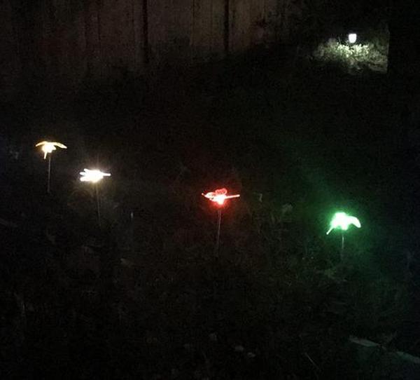 Solar Garden Lights, Solar Bird,Butterfly,Dragonfly Lights Solar Christmas Decorations, Multi-Color Changing LED Solar Light Stakes photo review