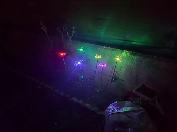 Solar Garden Lights, Solar Bird,Butterfly,Dragonfly Lights Solar Christmas Decorations, Multi-Color Changing LED Solar Light Stakes photo review