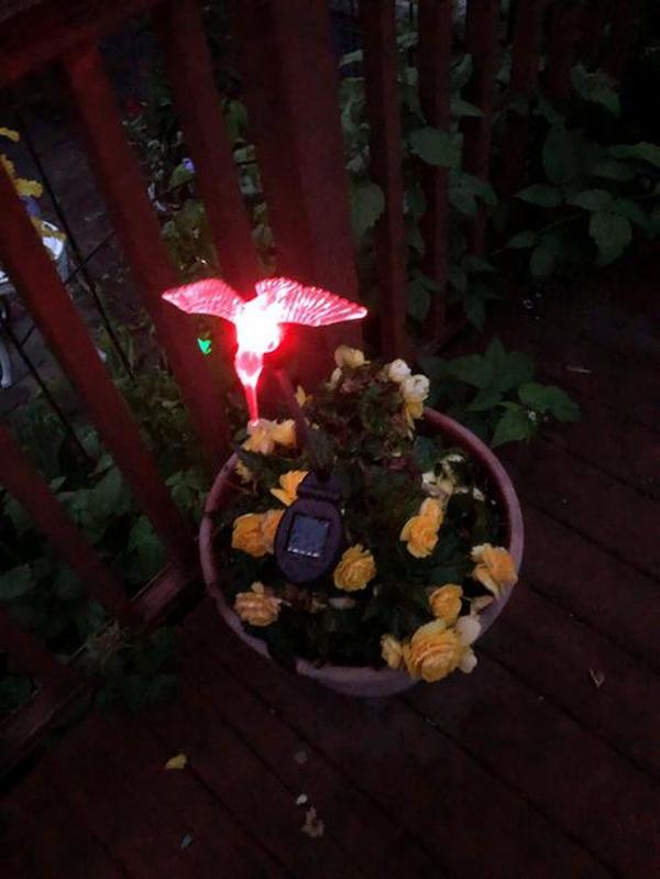 Solar Garden Lights, Solar Bird,Butterfly,Dragonfly Lights Solar Christmas Decorations, Multi-Color Changing LED Solar Light Stakes photo review