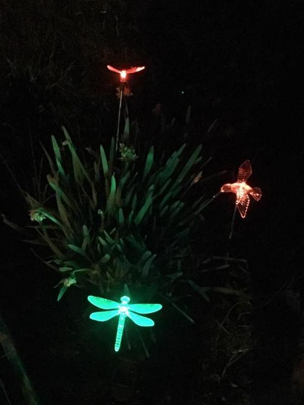 Solar Garden Lights, Solar Bird,Butterfly,Dragonfly Lights Solar Christmas Decorations, Multi-Color Changing LED Solar Light Stakes photo review