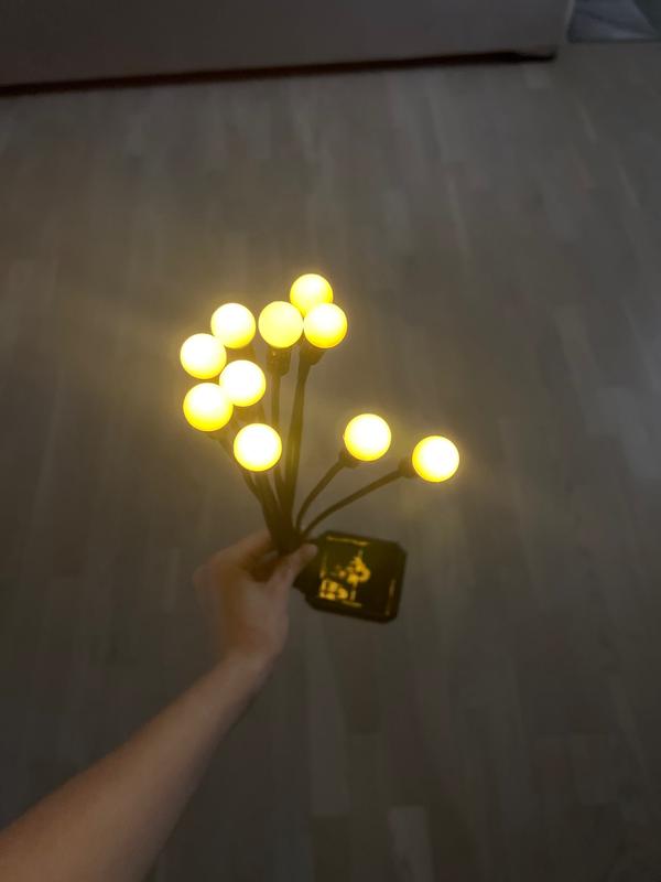 Solar Powered Firefly Light photo review