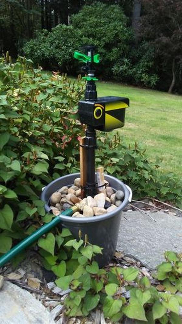 Solar Powered Motion Activated Animal Repellent Garden Sprinkler photo review