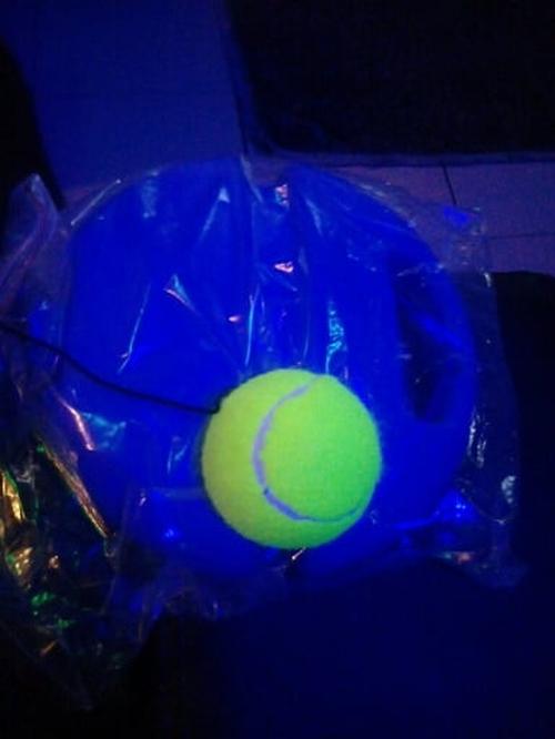 Solo Tennis Trainer photo review