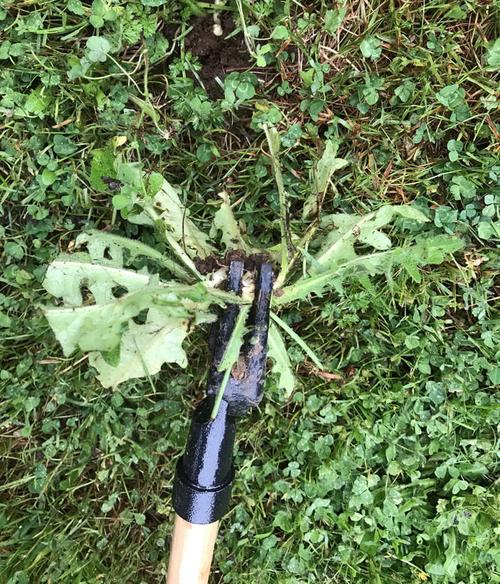 Stand Up Weed Puller Tool With Long Handle, Weeder Tool photo review