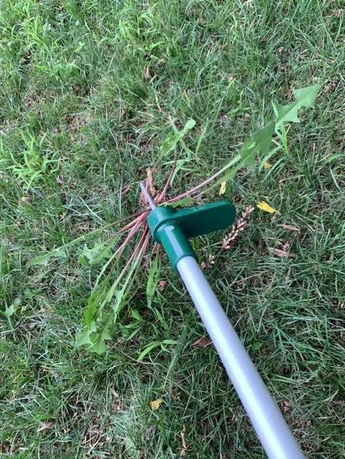 Standing Weed Puller Root Removal Tool photo review