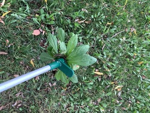 Standing Weed Puller Root Removal Tool photo review