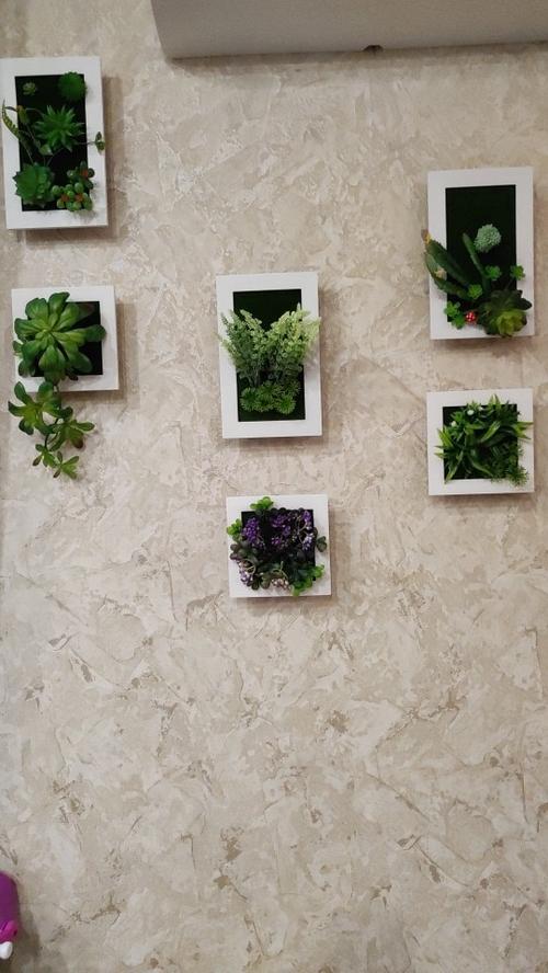 Succulent Wall Hanger Frame - Indoor Plant Decor for Home & Garden photo review