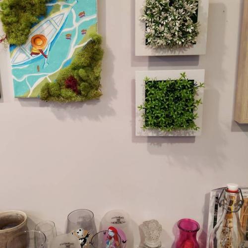 Succulent Wall Hanger Frame - Indoor Plant Decor for Home & Garden photo review