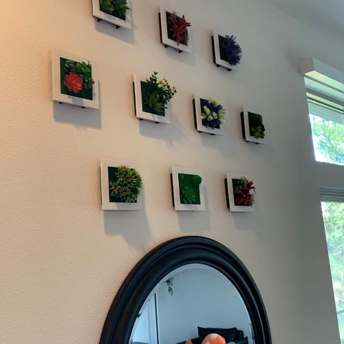 Succulent Wall Hanger Frame - Indoor Plant Decor for Home & Garden photo review