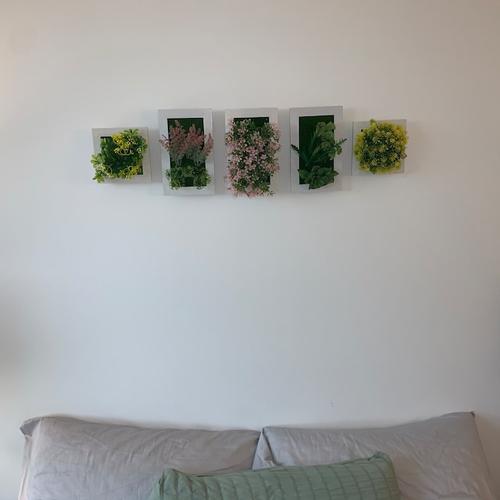 Succulent Wall Hanger Frame - Indoor Plant Decor for Home & Garden photo review