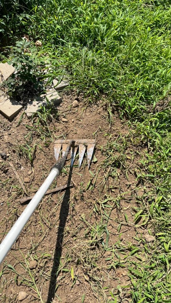 The Heavy Duty Iron Weeding Rake, Garden Weeding Tools photo review