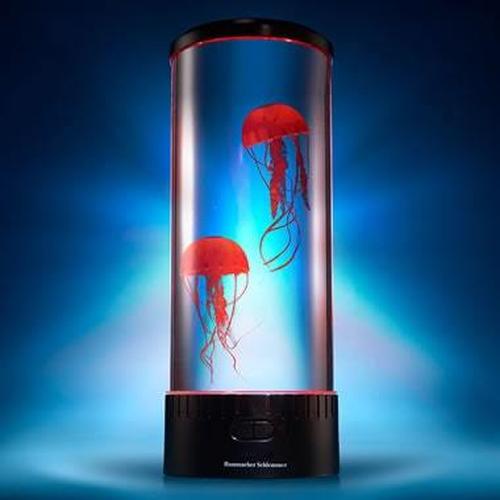 The Hypnotic Jellyfish Aquarium