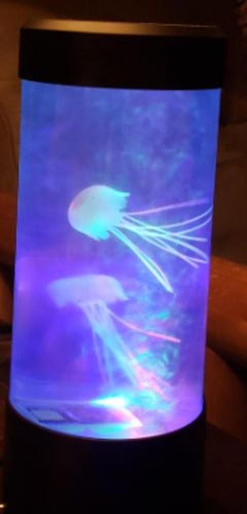 The Hypnotic Jellyfish Aquarium photo review