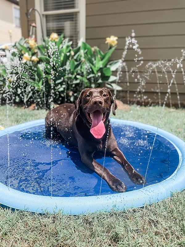 Thick Anti-Slip Sprinkler Swimming Pool for Pets & Kids Summer Outdoor Water Toys photo review