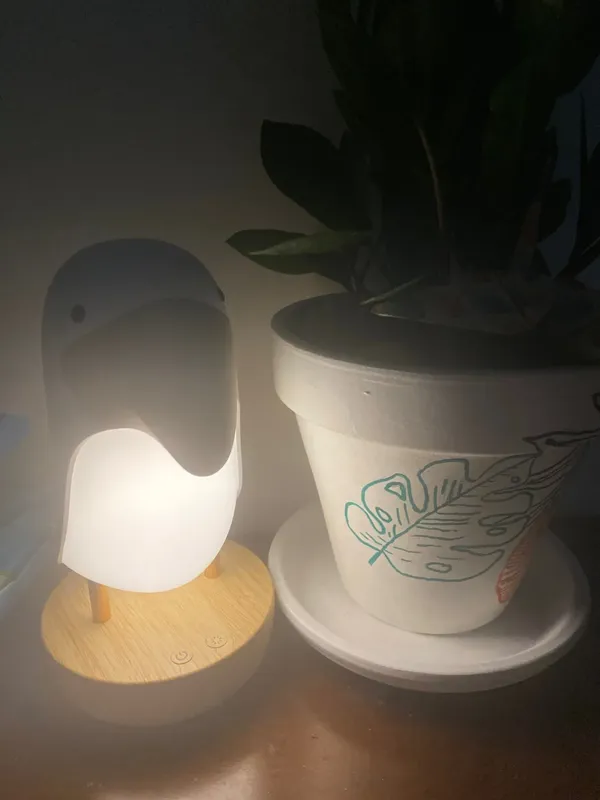 Toucan Bird Rechargeable USB Table Lamp For Kids, Bluetooth Night Light, Bedroom Decor, Christmas Gift, Indoor Lighting photo review