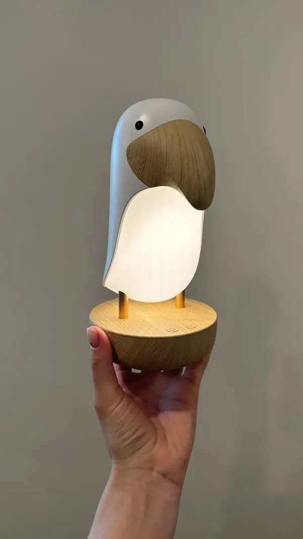 Toucan Bird Rechargeable USB Table Lamp For Kids, Bluetooth Night Light, Bedroom Decor, Christmas Gift, Indoor Lighting photo review