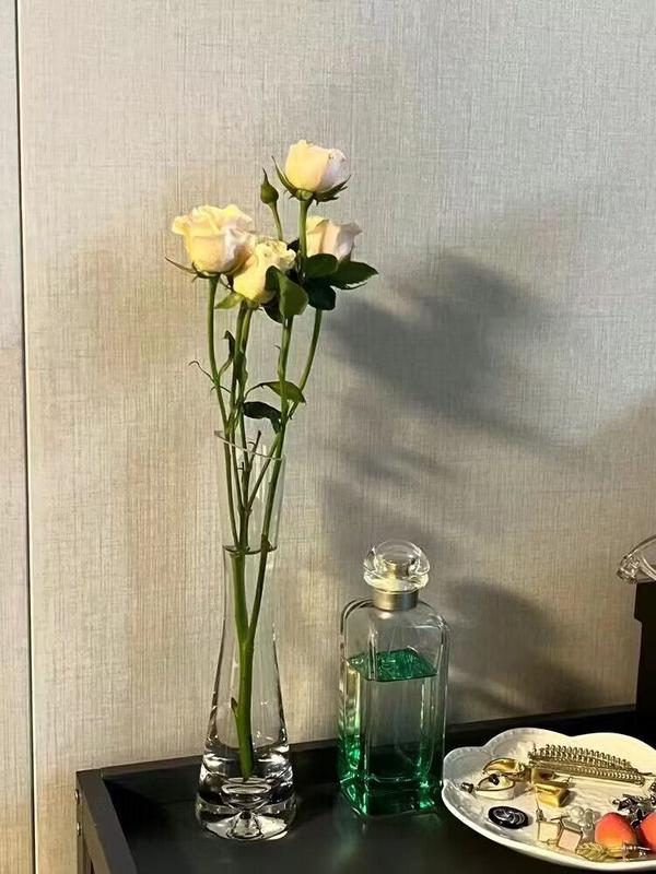 Transparent Glass Flower Vase for Hydroponics Plant Terrarium photo review