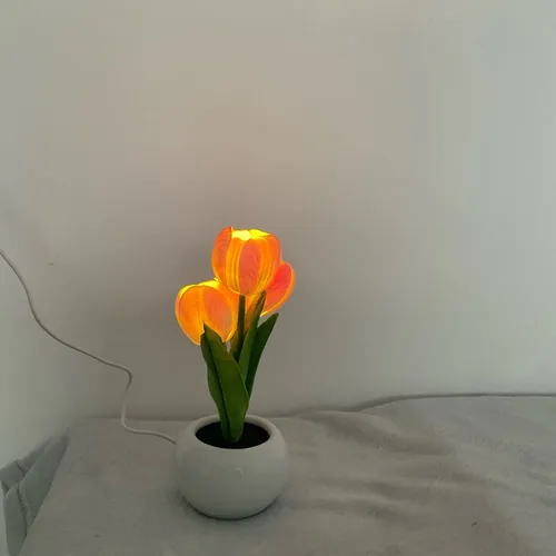 Tulip LED Night Light Simulation Flower Atmosphere Lamp for Home Decor photo review