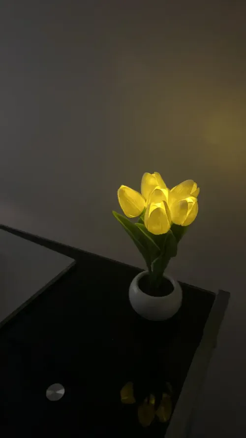 Tulip LED Night Light Simulation Flower Atmosphere Lamp for Home Decor photo review