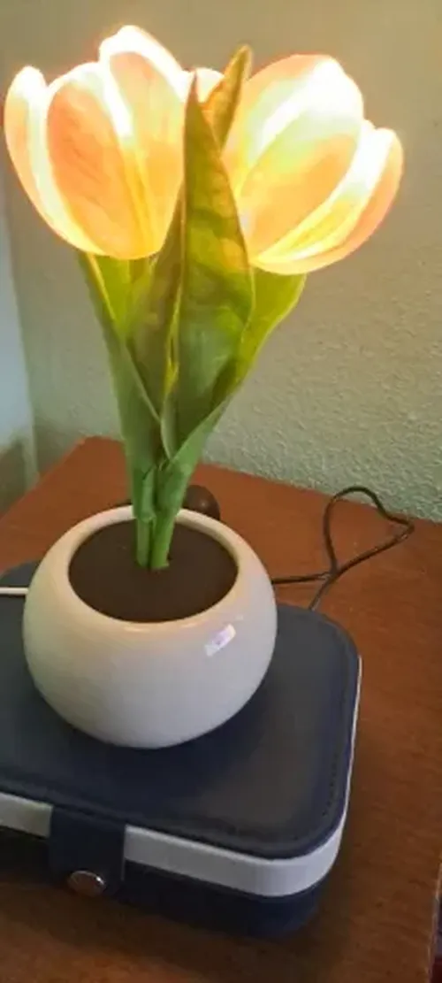 Tulip LED Night Light Simulation Flower Atmosphere Lamp for Home Decor photo review