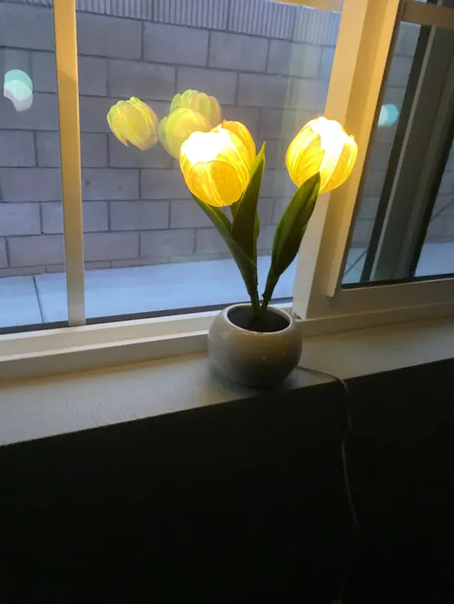 Tulip LED Night Light Simulation Flower Atmosphere Lamp for Home Decor photo review