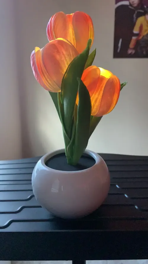 Tulip LED Night Light Simulation Flower Atmosphere Lamp for Home Decor photo review