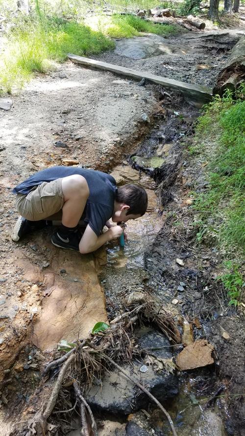 Ultimate Purifier Water Lifestraw photo review