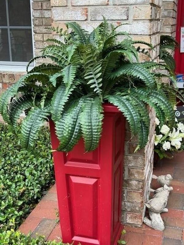 Uv Resistant Lifelike Artificial Boston Fern For Outdoors, 60 leaves 55cm photo review