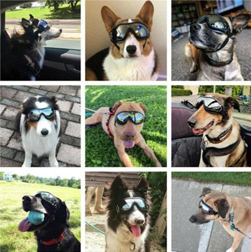 Waterproof Windproof Protective Dog Goggles with Sunscreen and UV Protection